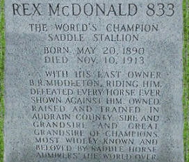 Gray Headstone for Rex