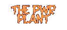 The PWR Plant