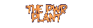 The PWR Plant