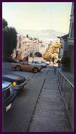 Looking down a steep hill toward Alcatraz Island on Tour #1